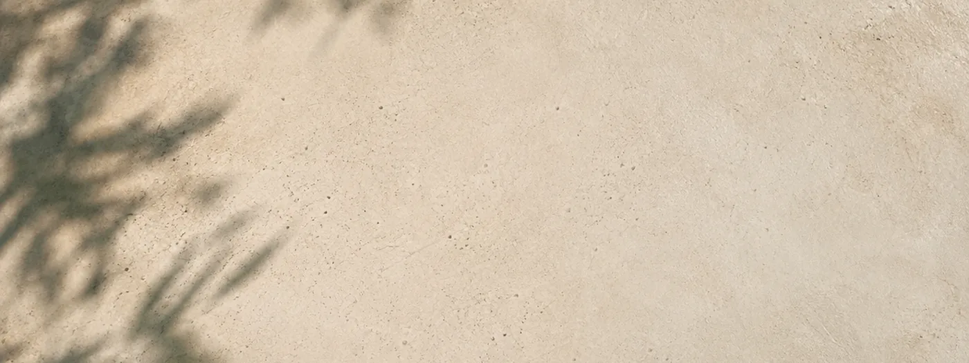 Parede de gesso com sombra de folhagem